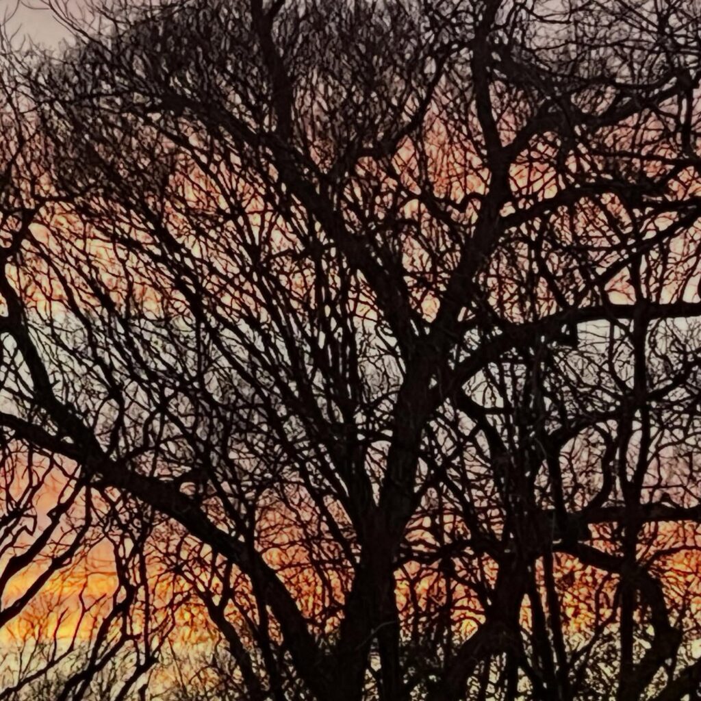 Instagram post from tsbracha.landscaping. This post is in position 2.