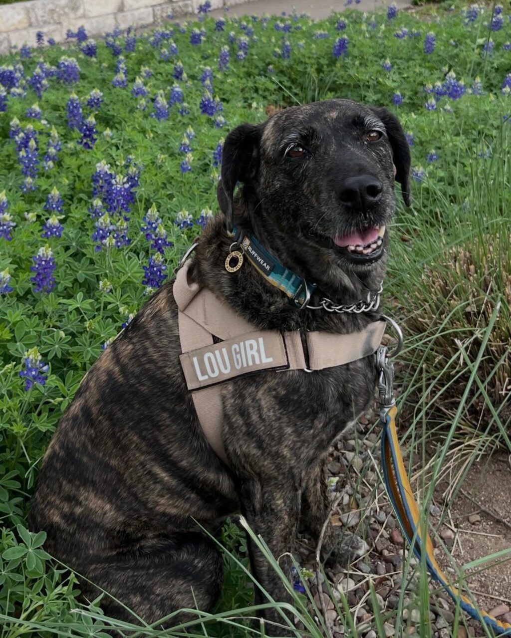 Instagram post from tsbracha.landscaping. This post is in position 0.