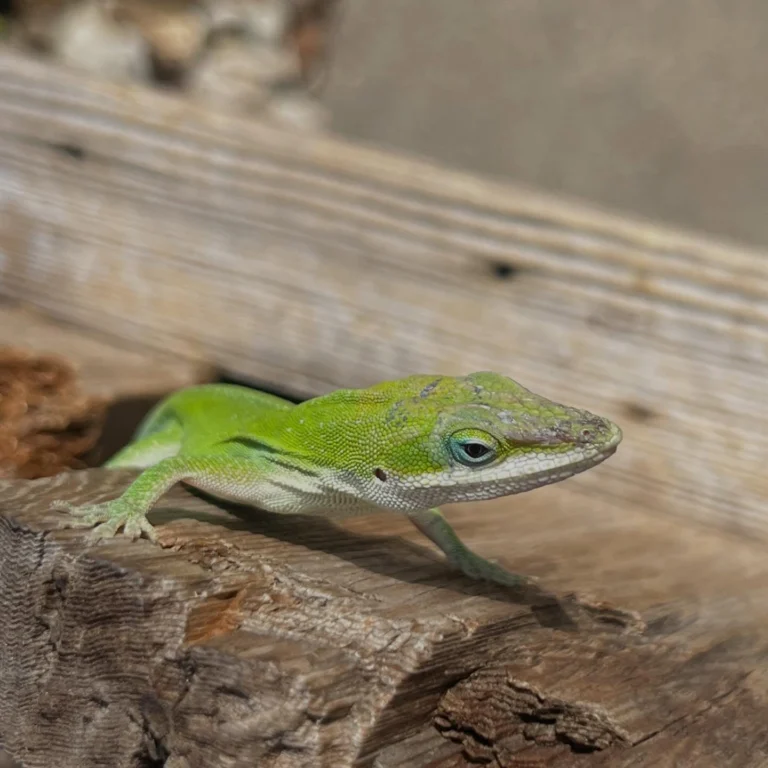 Instagram post from tsbracha.landscaping. This post is in position 5.