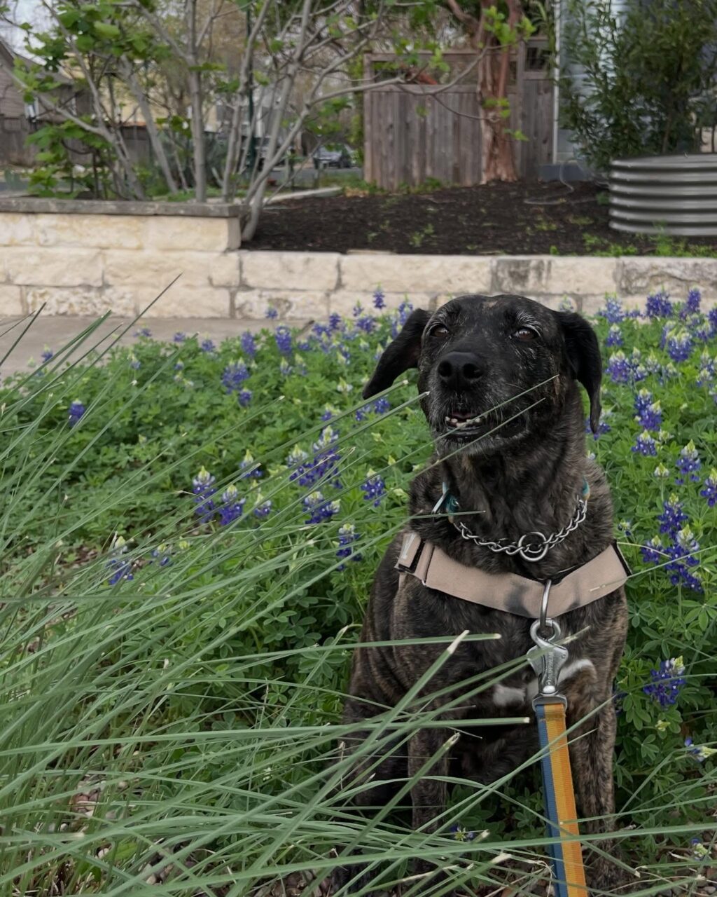 Instagram post from tsbracha.landscaping. This post is in position 1.