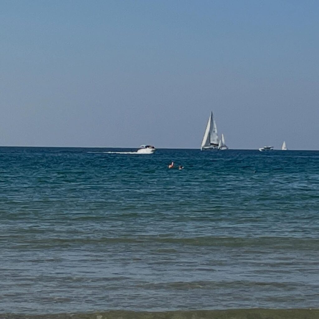 Instagram post from tsbracha.landscaping. This post is in position 2.