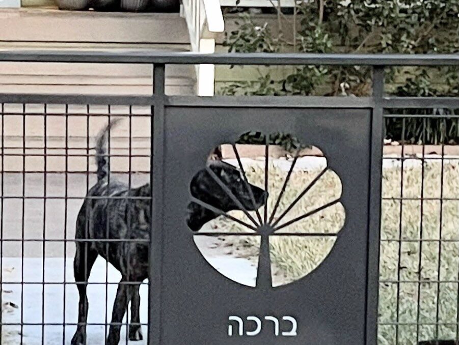 Instagram post from tsbracha.landscaping. This post is in position 2.