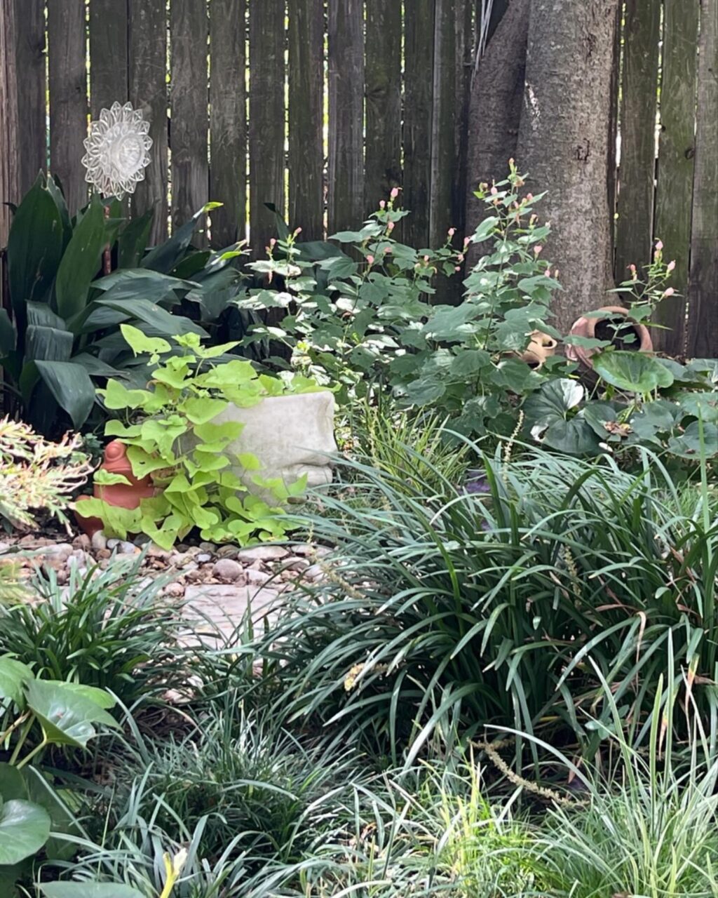 Instagram post from tsbracha.landscaping. This post is in position 5.