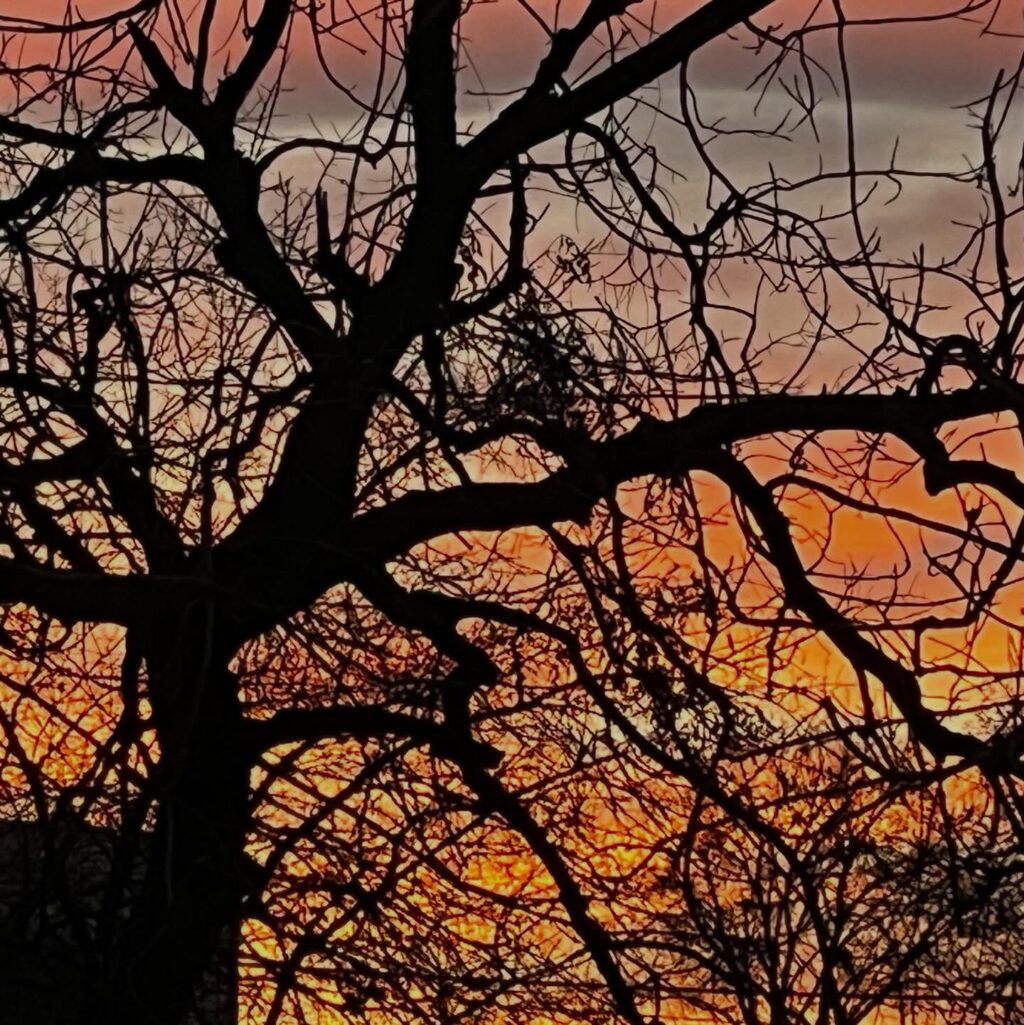 Instagram post from tsbracha.landscaping. This post is in position 0.