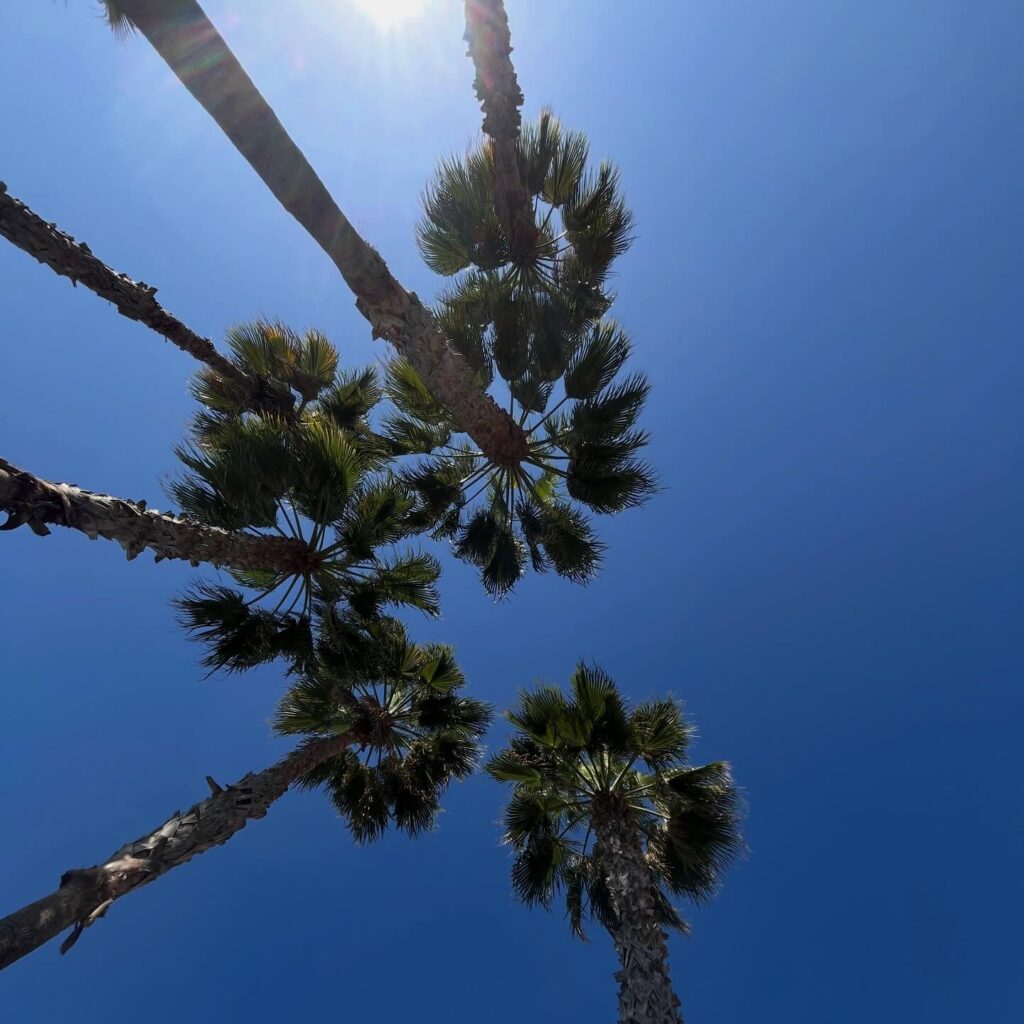 Instagram post from tsbracha.landscaping. This post is in position 0.