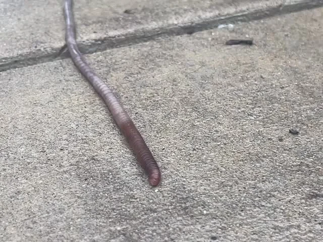 Instagram post from tsbracha.landscaping. This post is in position 2.