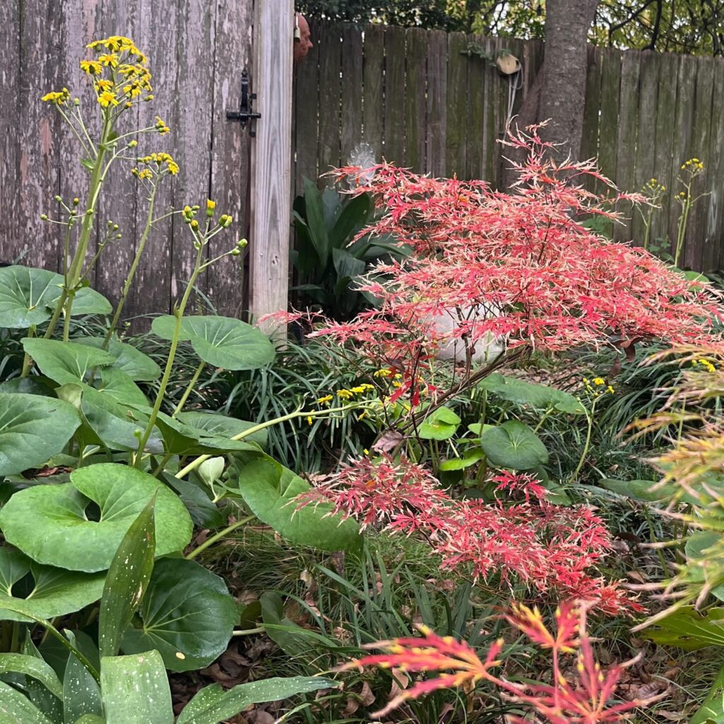 Instagram post from tsbracha.landscaping. This post is in position 5.