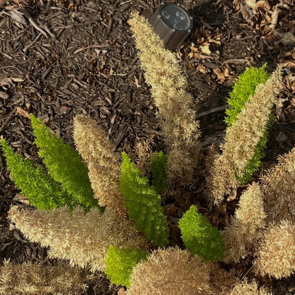 Instagram post from tsbracha.landscaping. This post is in position 1.