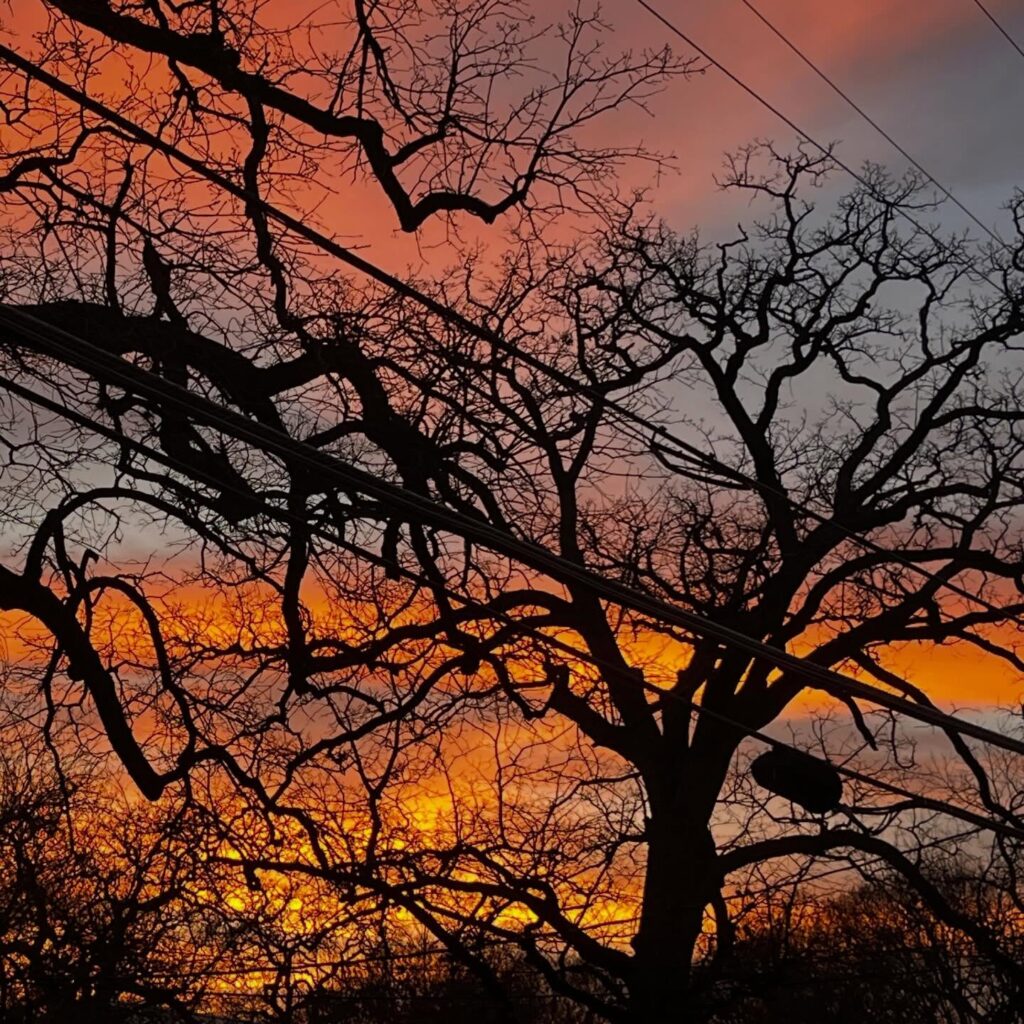 Instagram post from tsbracha.landscaping. This post is in position 1.